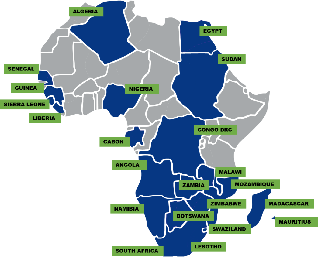 AME international footprint